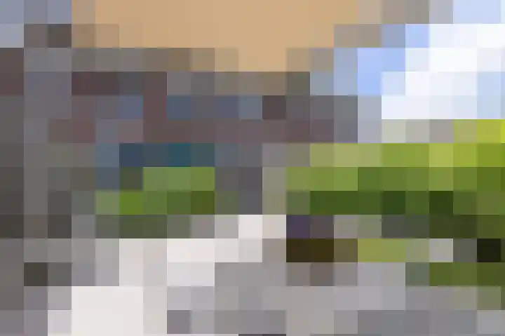 Lage Hoek 119 Zwaag thumbnail 23