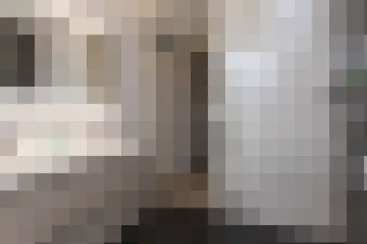 Lage Hoek 119 Zwaag thumbnail 34