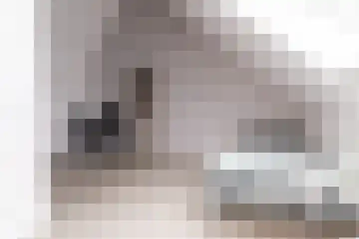 Lage Hoek 119 Zwaag thumbnail 38