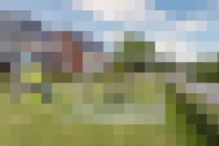 Lage Hoek 119 Zwaag thumbnail 41