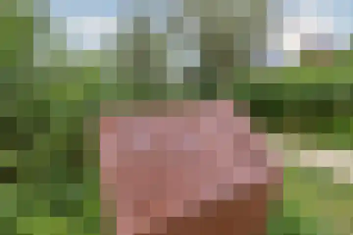 Lage Hoek 119 Zwaag thumbnail 42