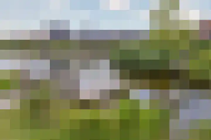 Lage Hoek 119 Zwaag thumbnail 43