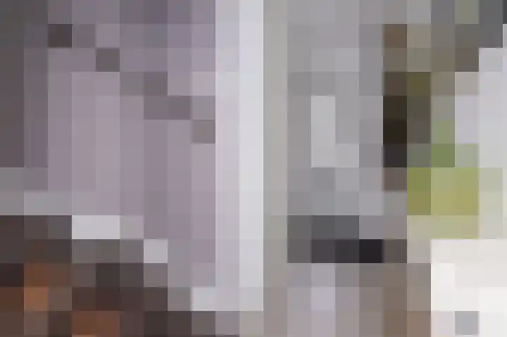 Lage Hoek 119 Zwaag thumbnail 9
