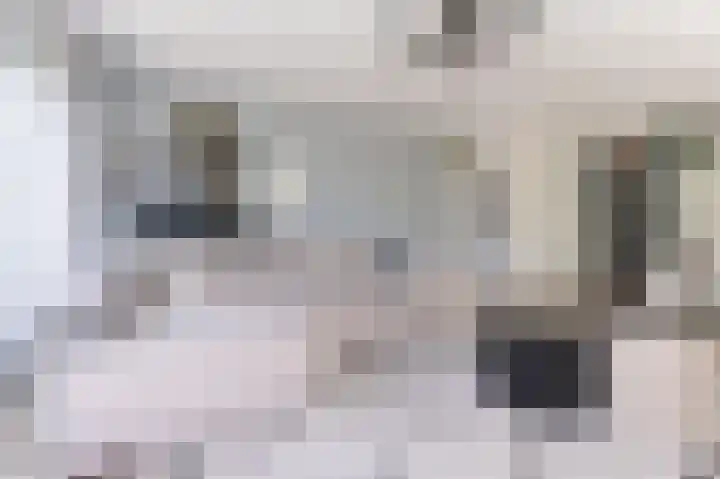 Lage Hoek 125 Zwaag thumbnail 14