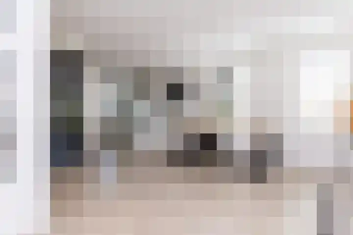 Lage Hoek 125 Zwaag thumbnail 16