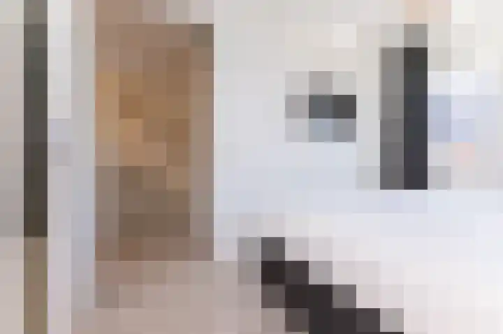 Lage Hoek 125 Zwaag thumbnail 23
