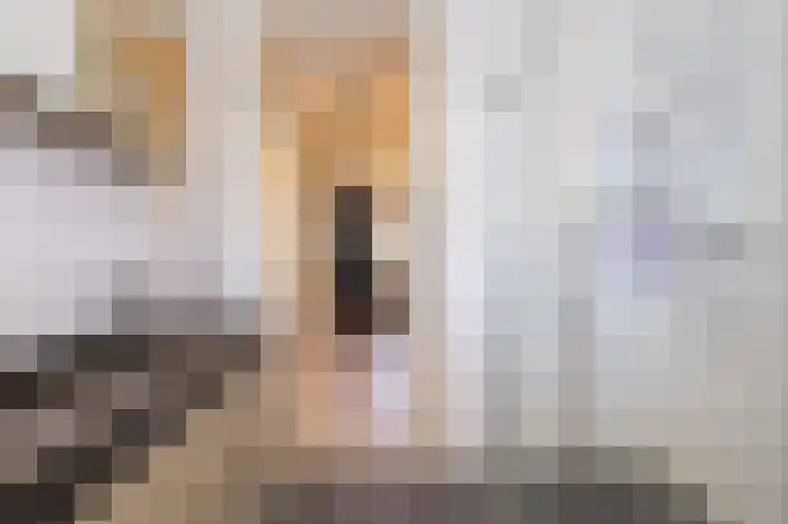 Lage Hoek 125 Zwaag thumbnail 29