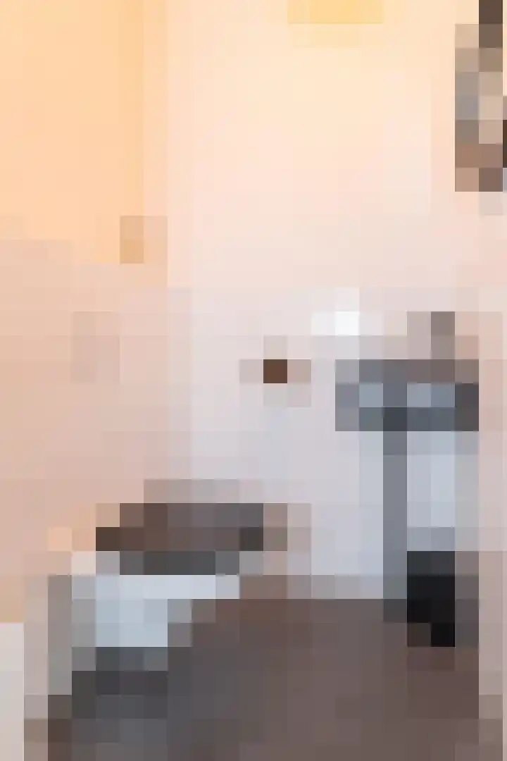 Lage Hoek 125 Zwaag thumbnail 8