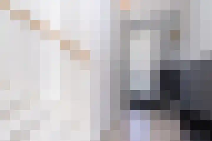 Lage Hoek 125 Zwaag thumbnail 9