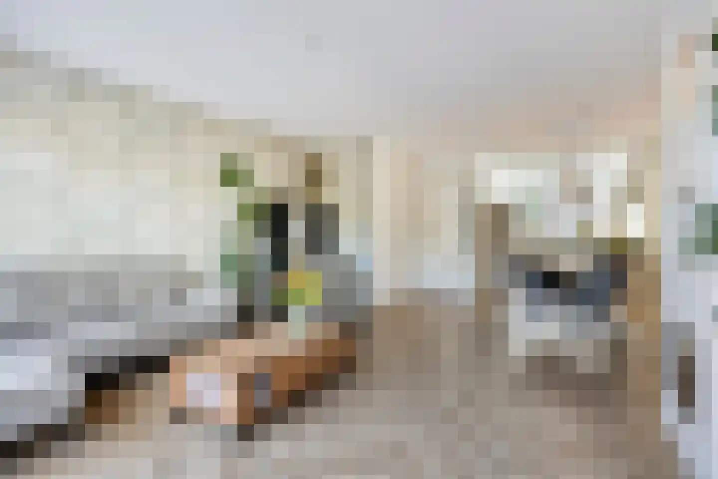 Lage Hoek 134 Zwaag thumbnail 11