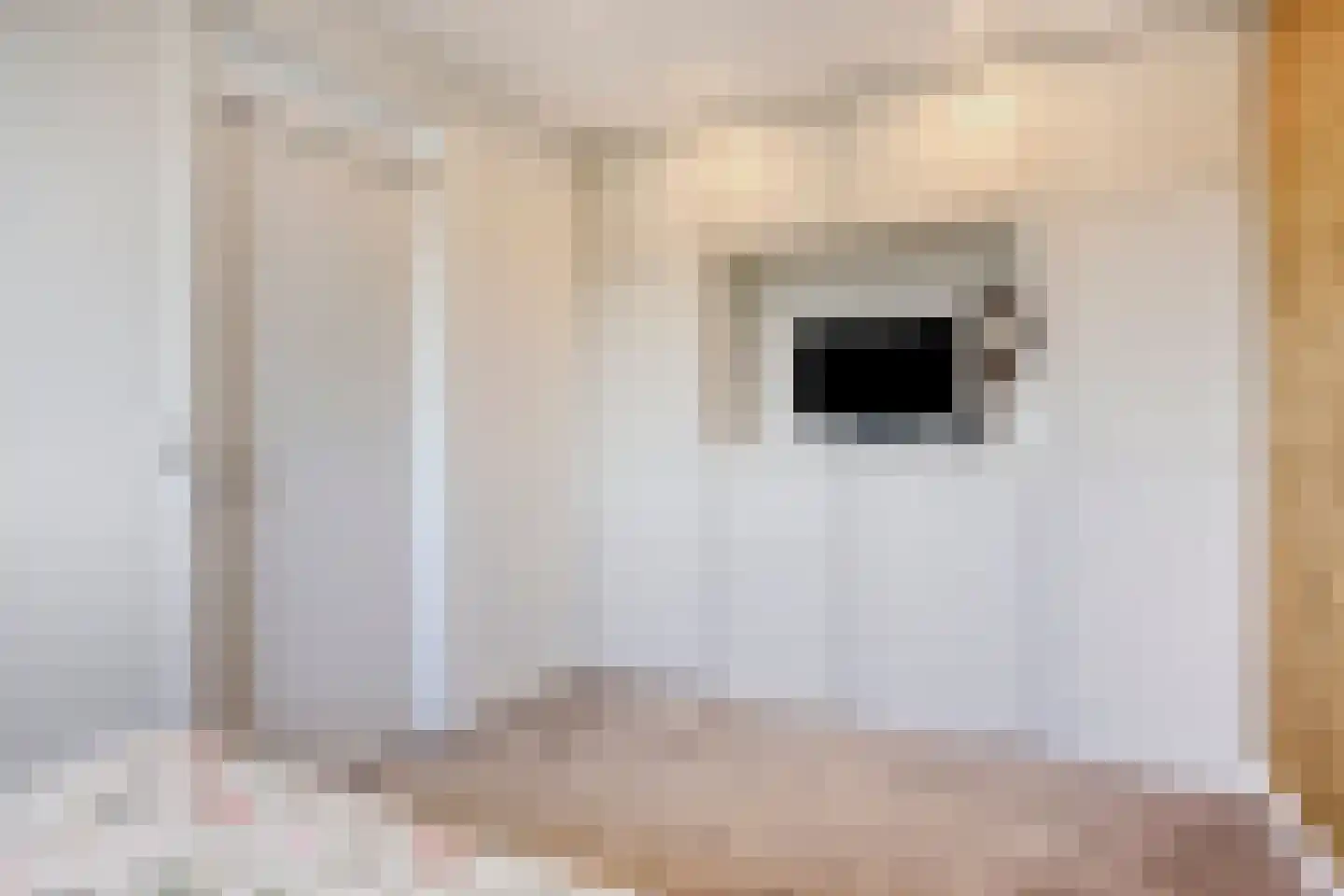 Lage Hoek 134 Zwaag thumbnail 29