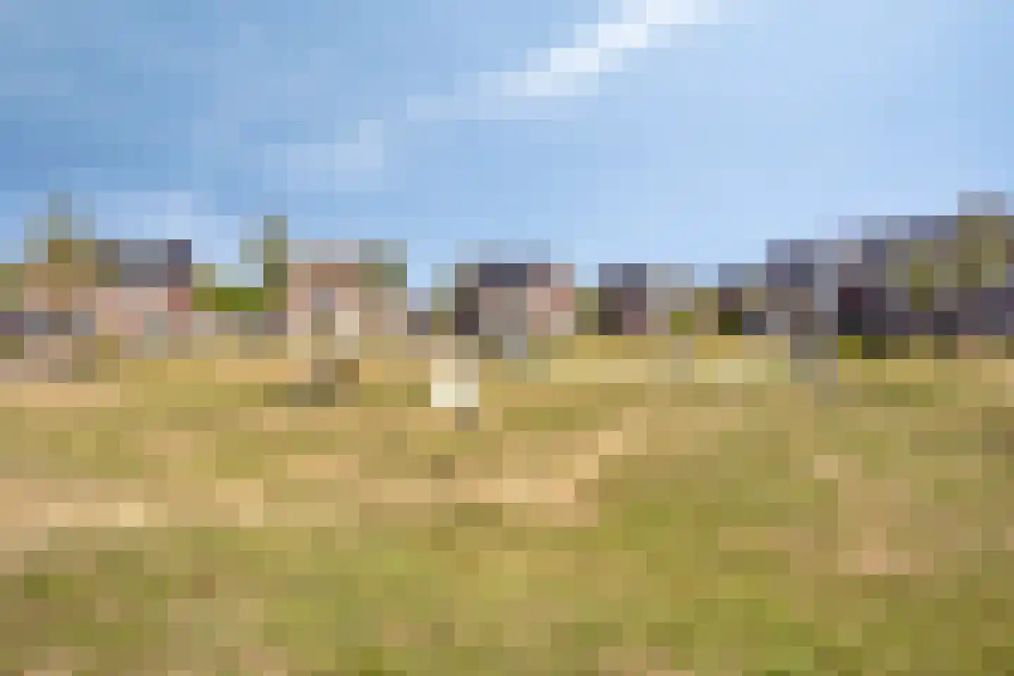 Lage Hoek 134 Zwaag thumbnail 33