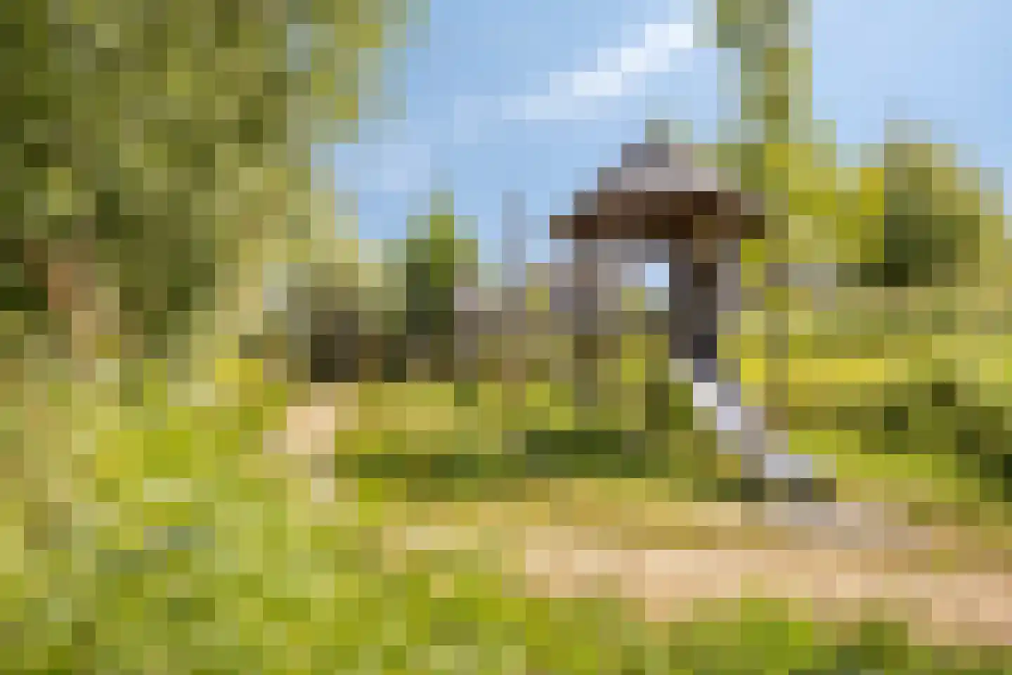 Lage Hoek 134 Zwaag thumbnail 34
