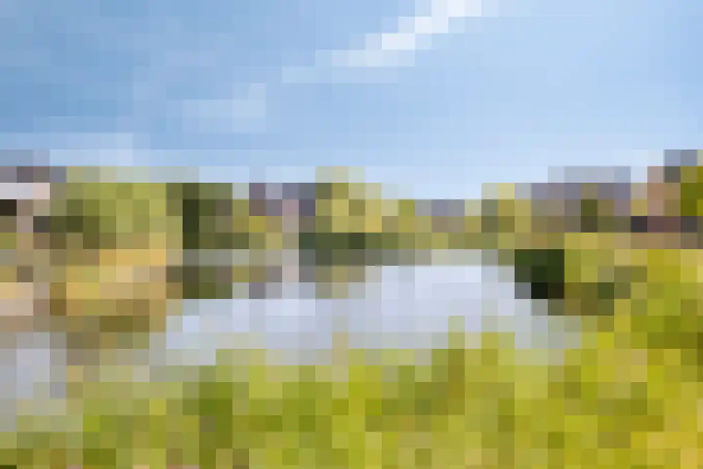Lage Hoek 134 Zwaag thumbnail 4