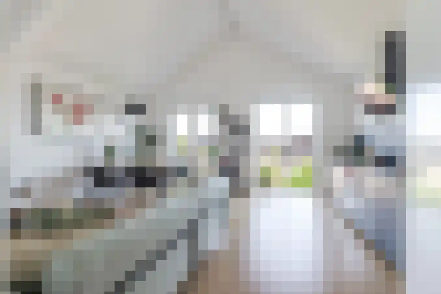 Lage Hoek 19 C Zwaag thumbnail 16