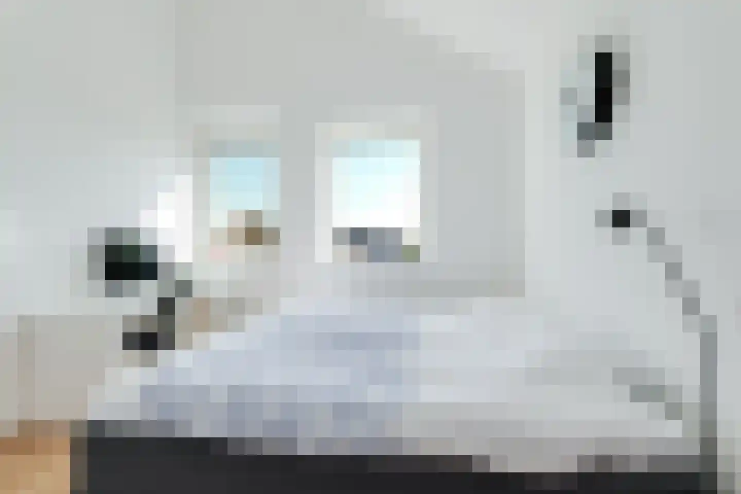 Lage Hoek 19 C Zwaag thumbnail 31