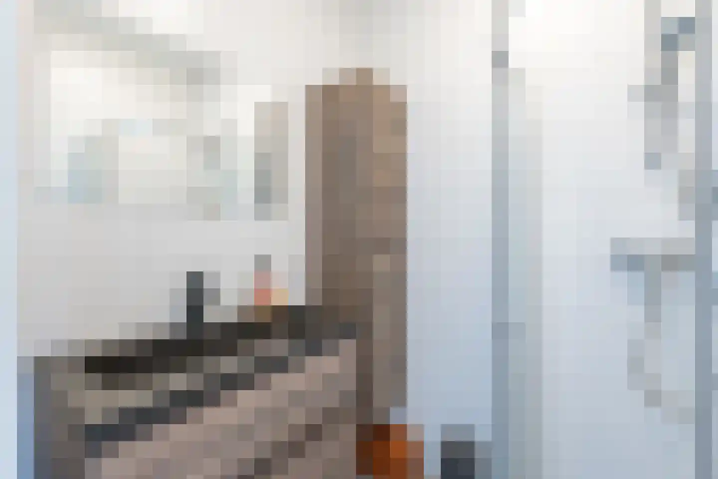 Lage Hoek 19 C Zwaag thumbnail 35