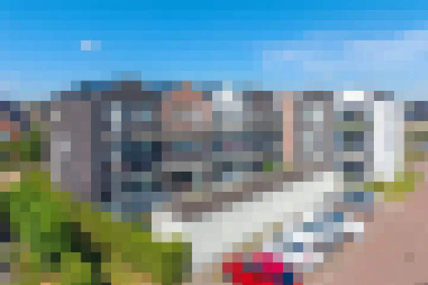 Lage Hoek 19 C Zwaag thumbnail 38