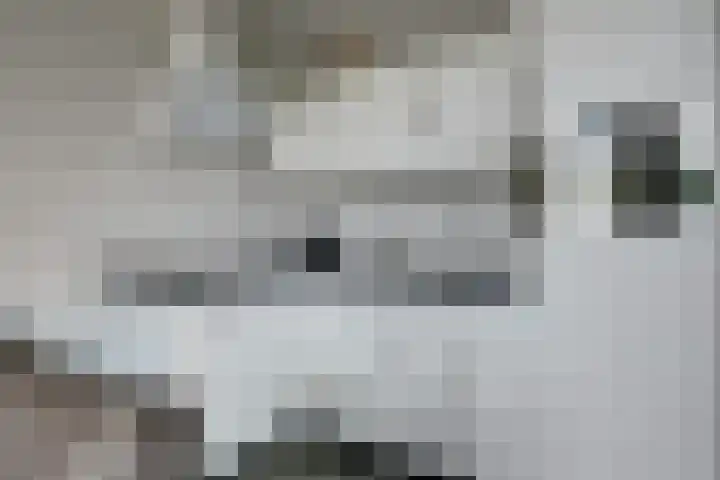 Lage Hoek 22 Zwaag thumbnail 12