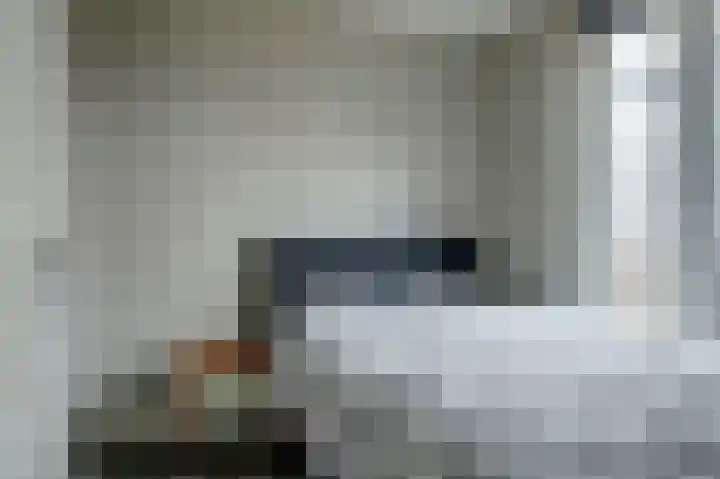 Lage Hoek 22 Zwaag thumbnail 13