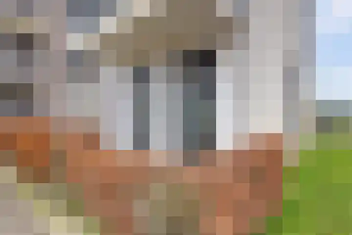 Lage Hoek 22 Zwaag thumbnail 17