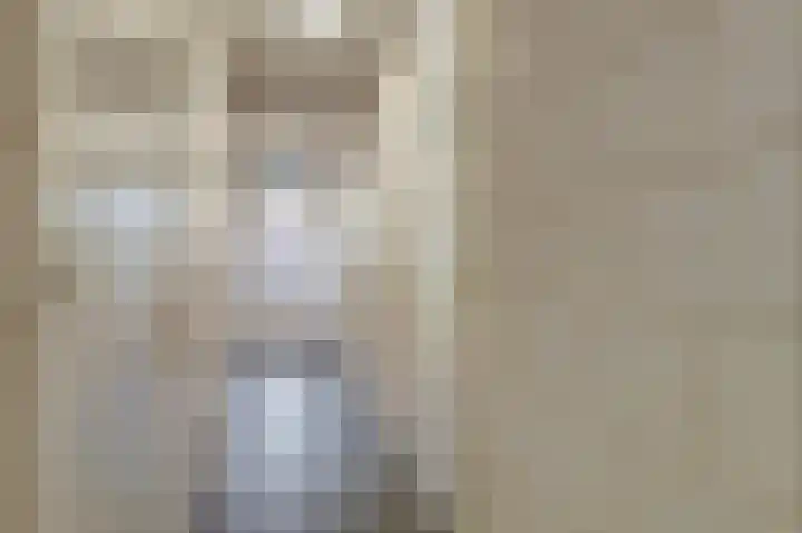 Lage Hoek 22 Zwaag thumbnail 21