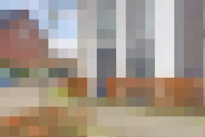 Lage Hoek 22 Zwaag thumbnail 5