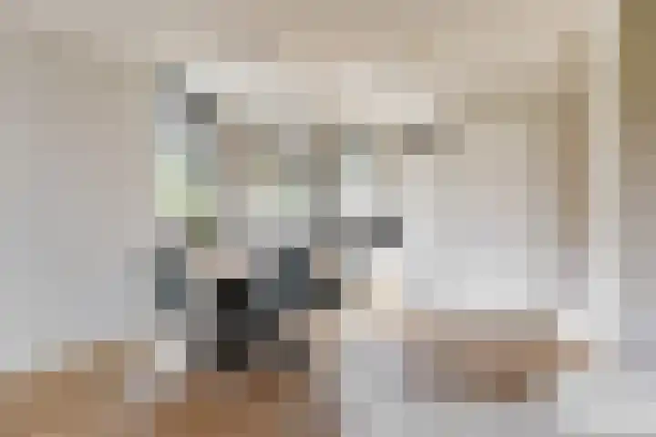 Lage Hoek 43 Zwaag thumbnail 11