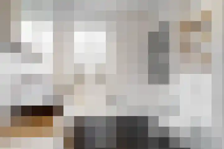 Lage Hoek 43 Zwaag thumbnail 15