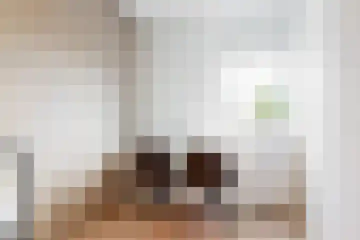 Lage Hoek 43 Zwaag thumbnail 19