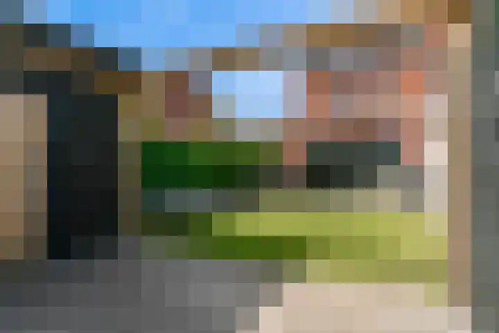 Lage Hoek 43 Zwaag thumbnail 30