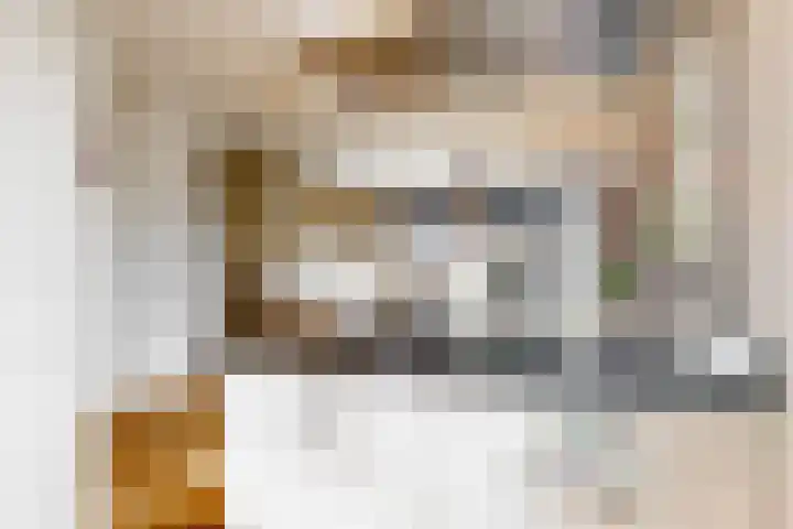 Lage Hoek 43 Zwaag thumbnail 4