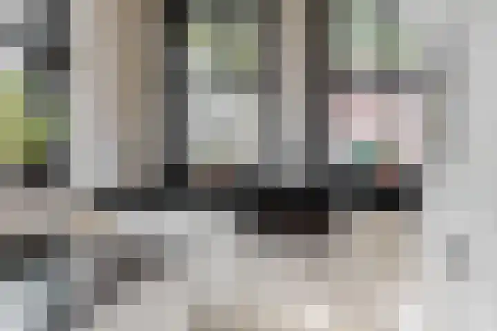 Lage Hoek 43 Zwaag thumbnail 5