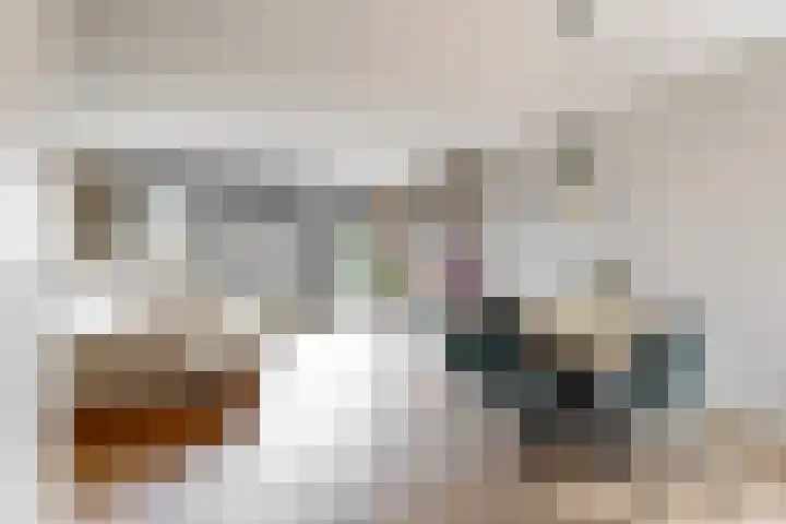 Lage Hoek 43 Zwaag thumbnail 8