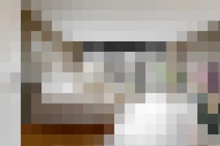 Lage Hoek 43 Zwaag thumbnail 9