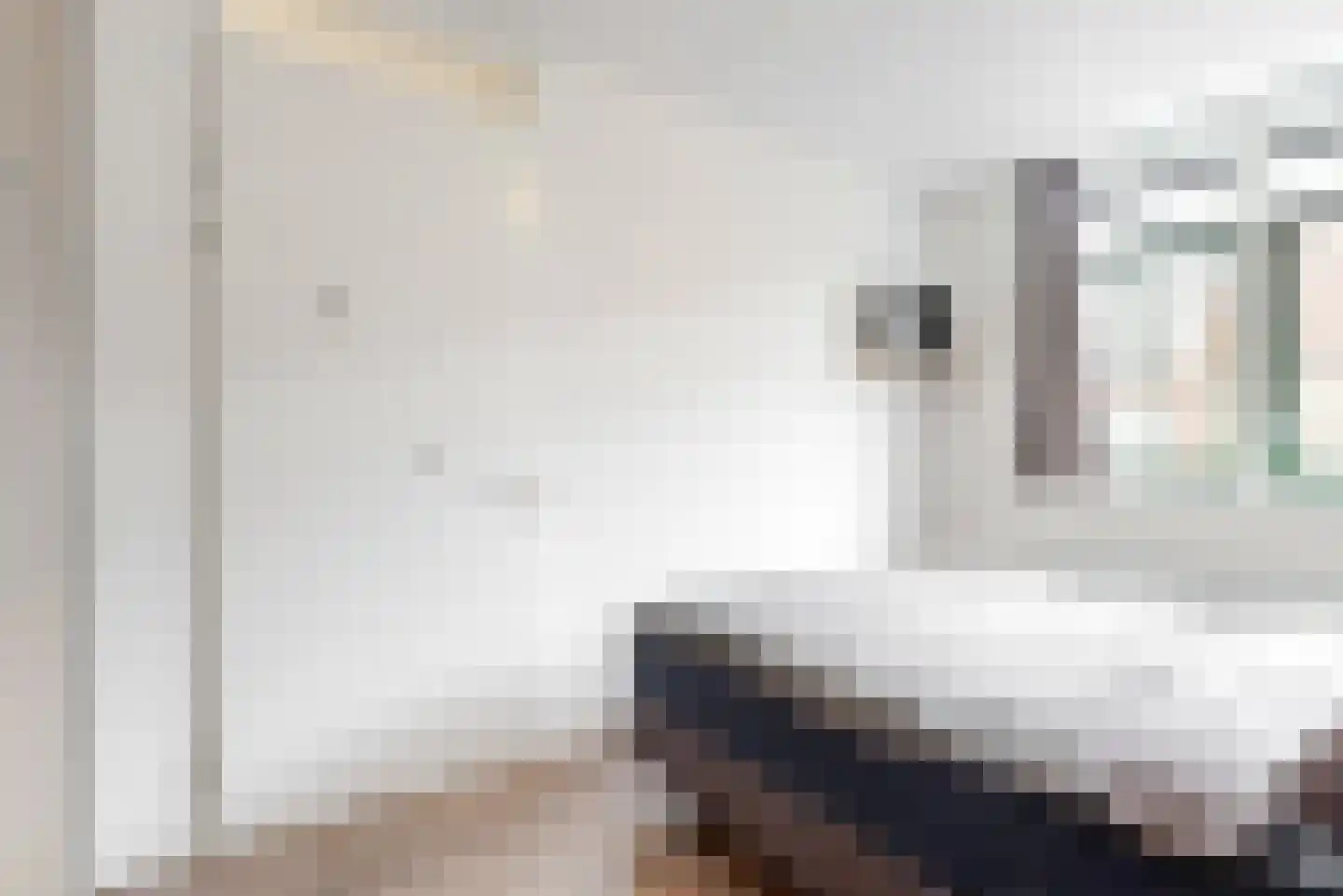 Lage Hoek 50 Zwaag thumbnail 13