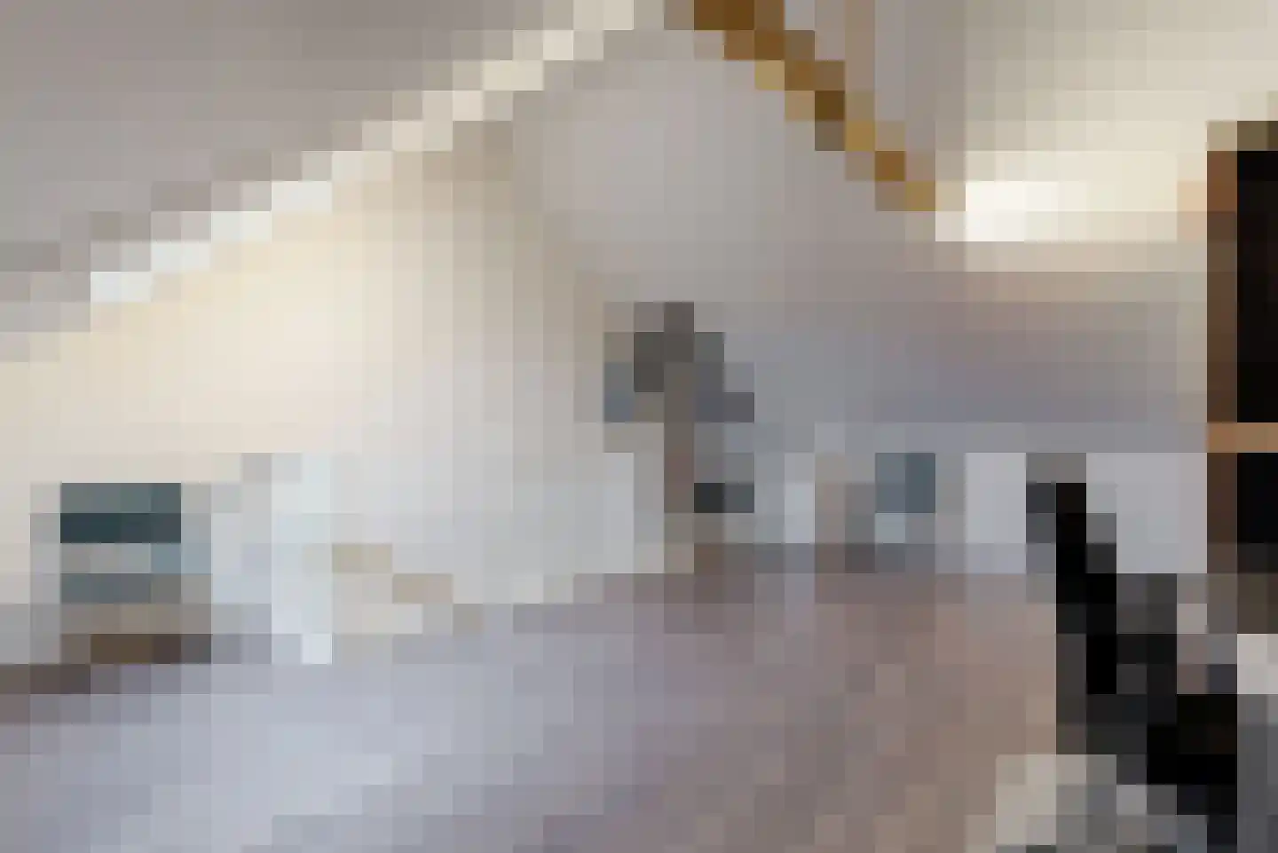Lage Hoek 50 Zwaag thumbnail 19