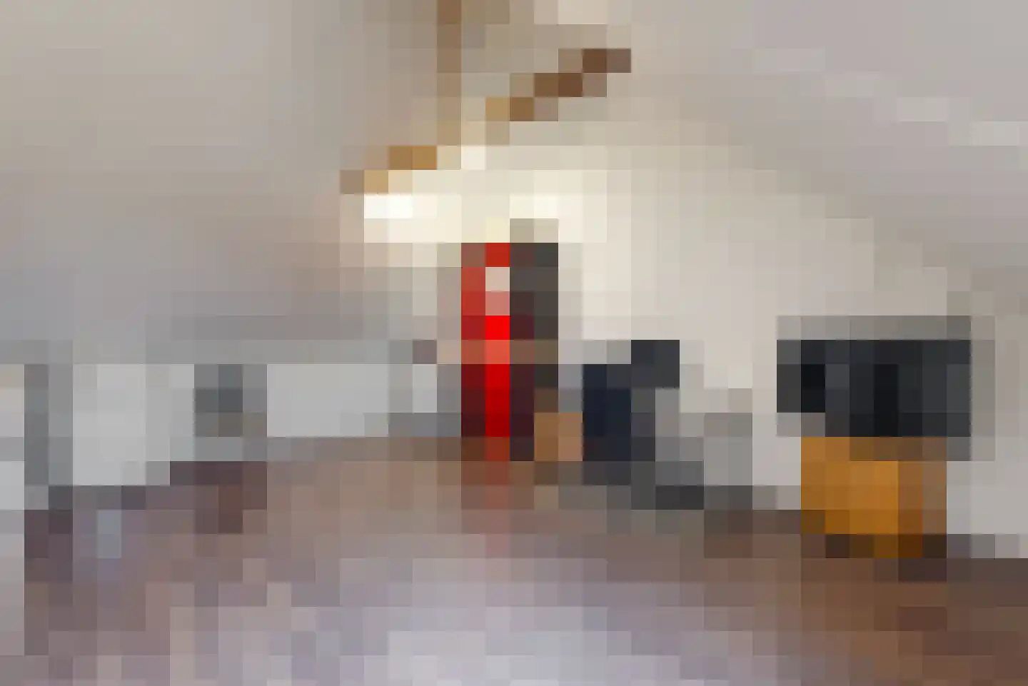 Lage Hoek 50 Zwaag thumbnail 20