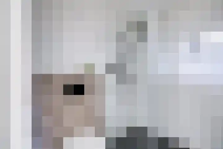Lage Hoeve 2 Vleuten thumbnail 41