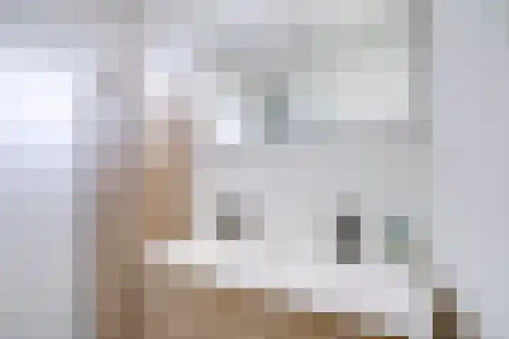 Lage Hoeve 2 Vleuten thumbnail 42