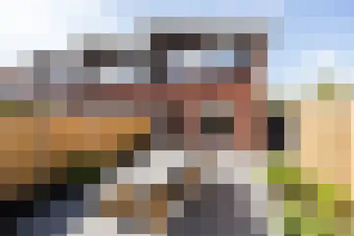 Lage Hoeve 2 Vleuten thumbnail 45