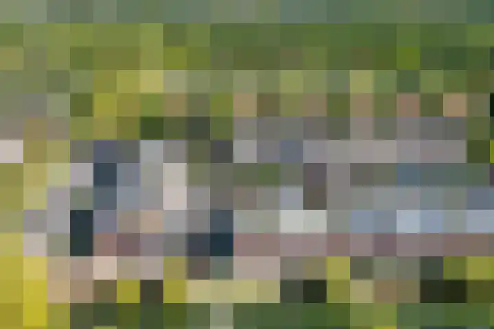 Lage Hoeve 2 Vleuten thumbnail 67