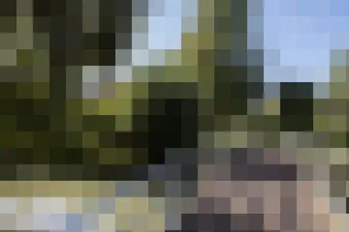 Lage Hoeve 2 Vleuten thumbnail 71