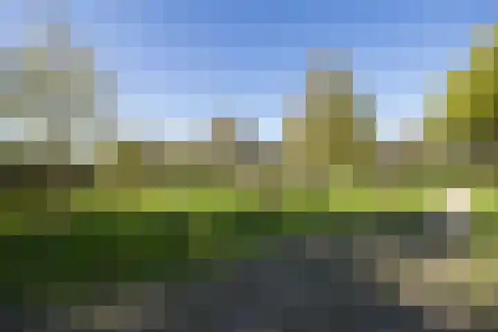 Lage Hoeve 2 Vleuten thumbnail 72