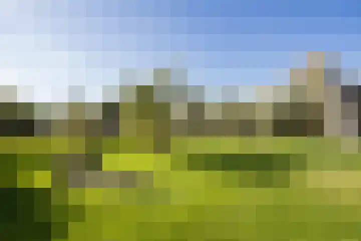Lage Hoeve 2 Vleuten thumbnail 73