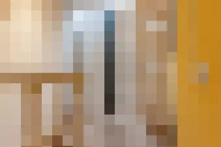 Lage Horn 20 Zaandam thumbnail 21