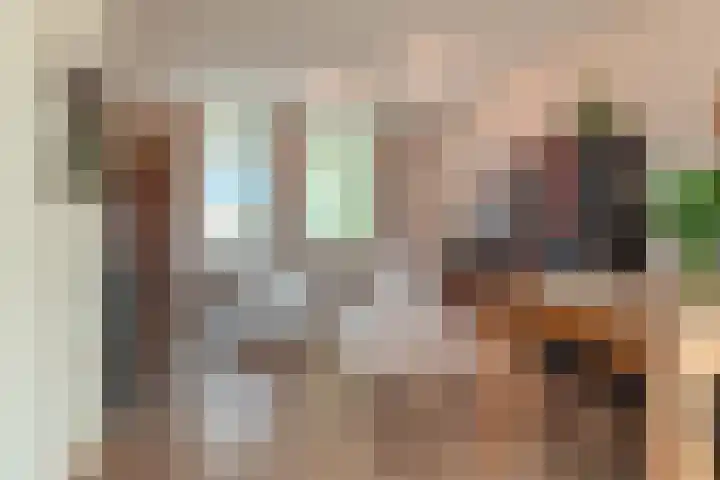 Lage Horn 20 Zaandam thumbnail 4