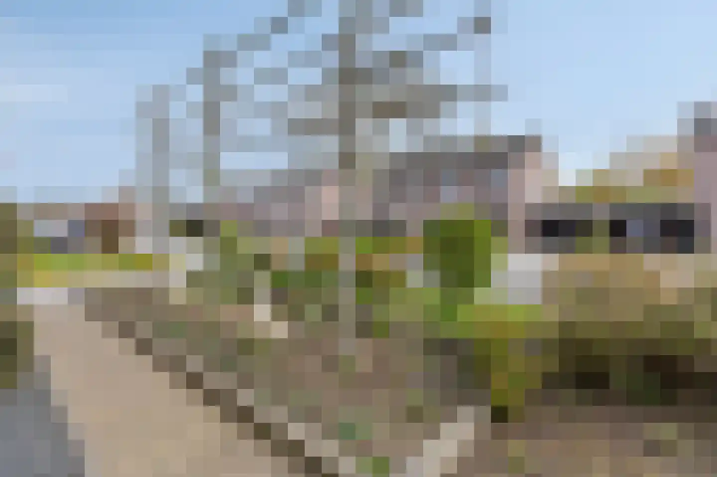Lage Horst 3 Wehl thumbnail 12