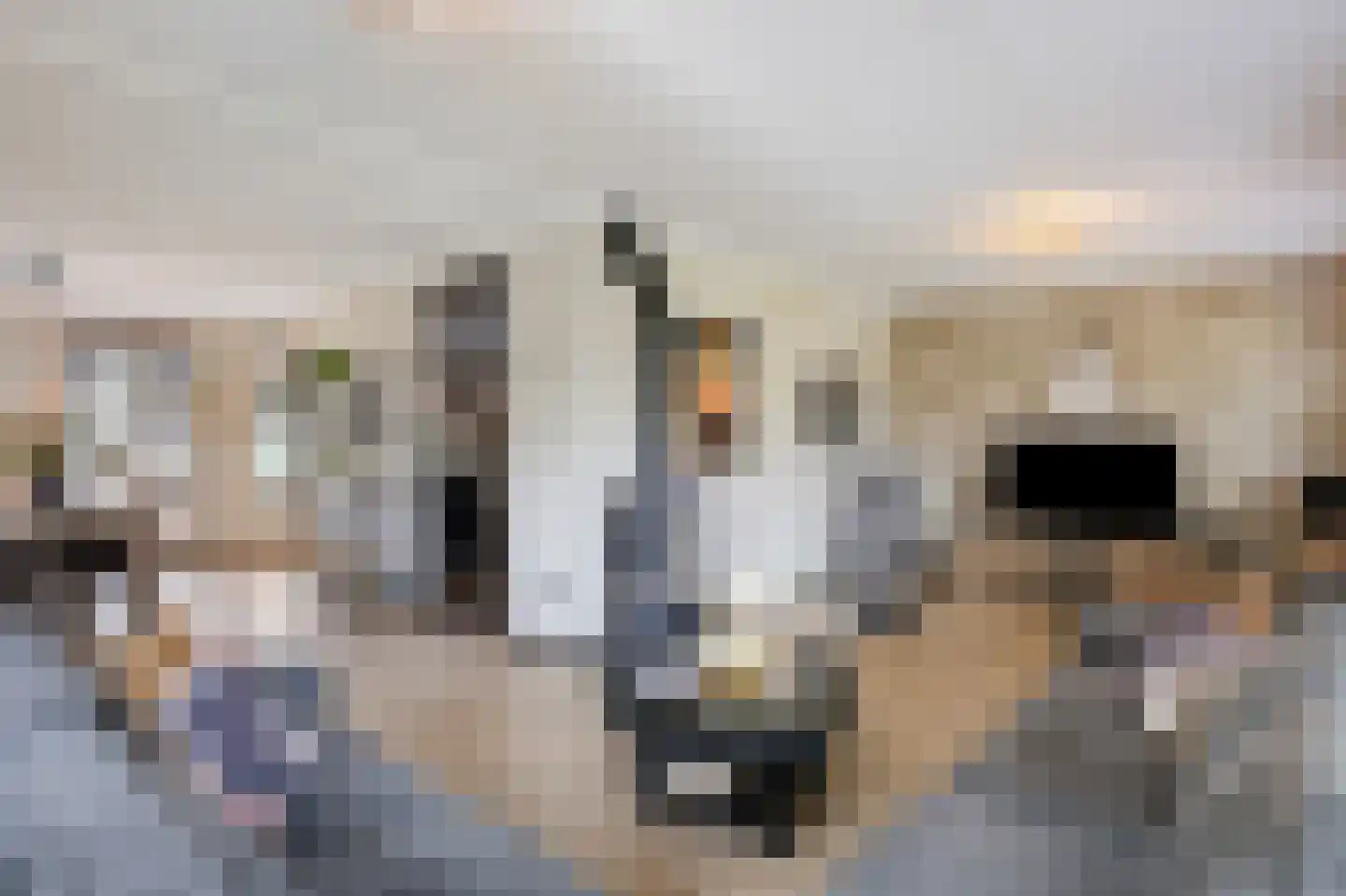 Lage Horst 3 Wehl thumbnail 22