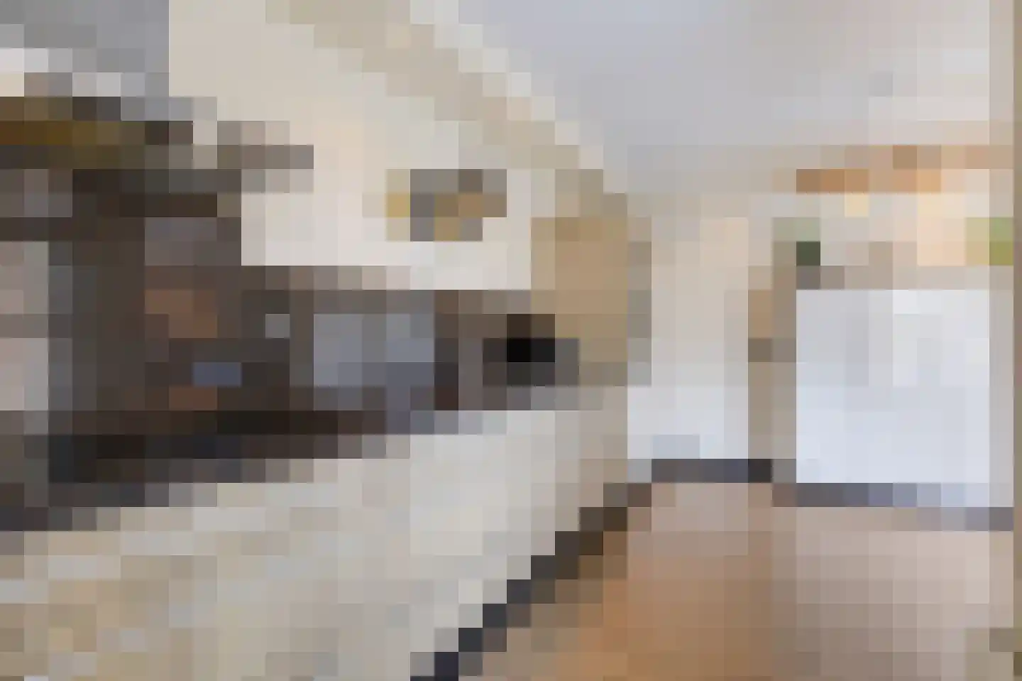 Lage Horst 3 Wehl foto 3